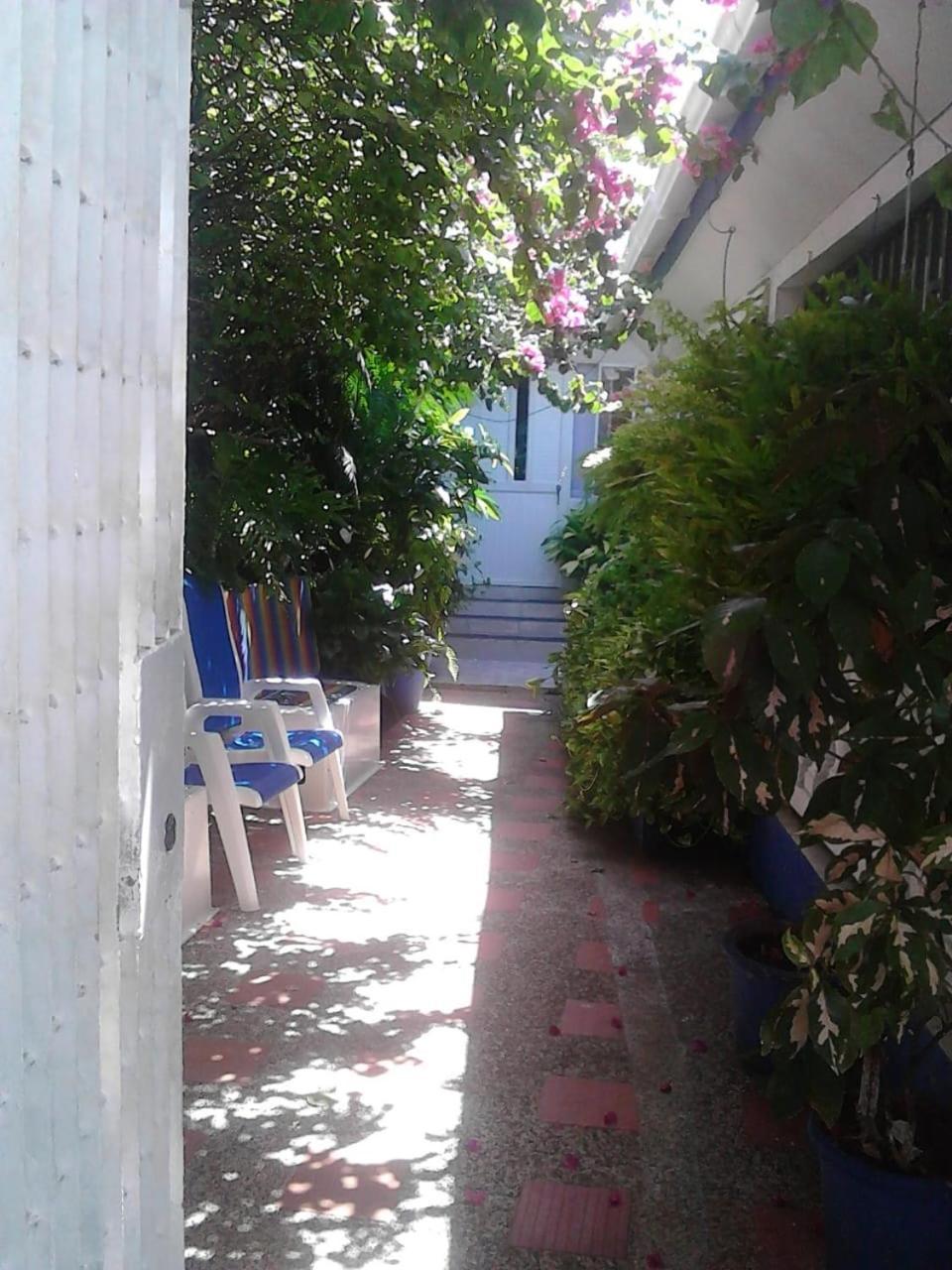 Vianova'S Place Posada Nativa San Andrés Exterior foto