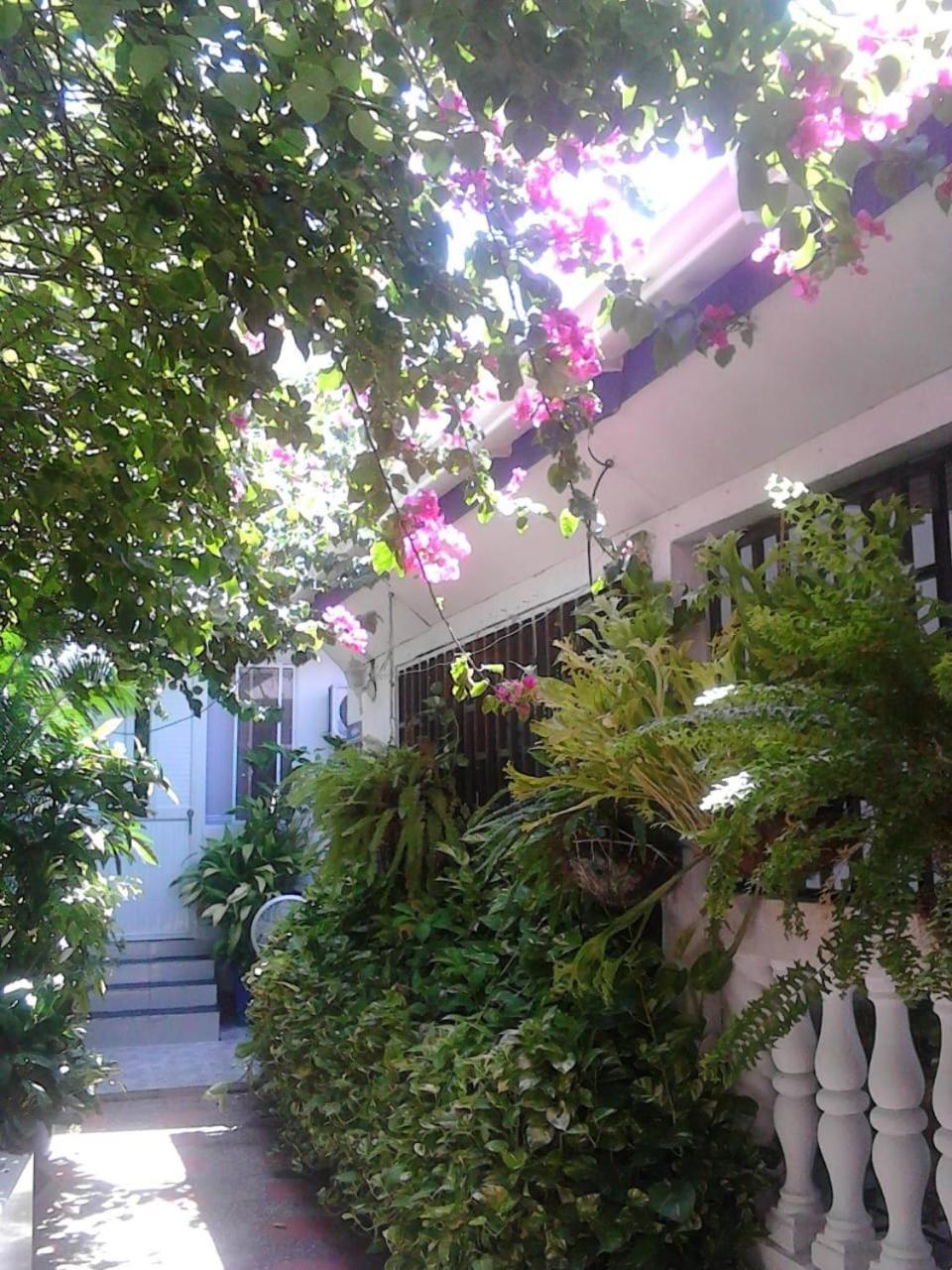 Vianova'S Place Posada Nativa San Andrés Exterior foto